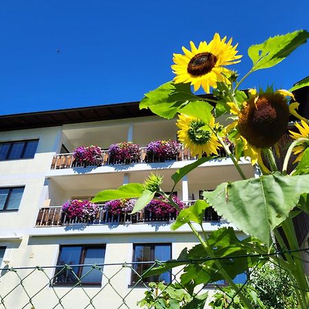 Gaestehaus Herma Ramsau am Dachstein Exterior foto