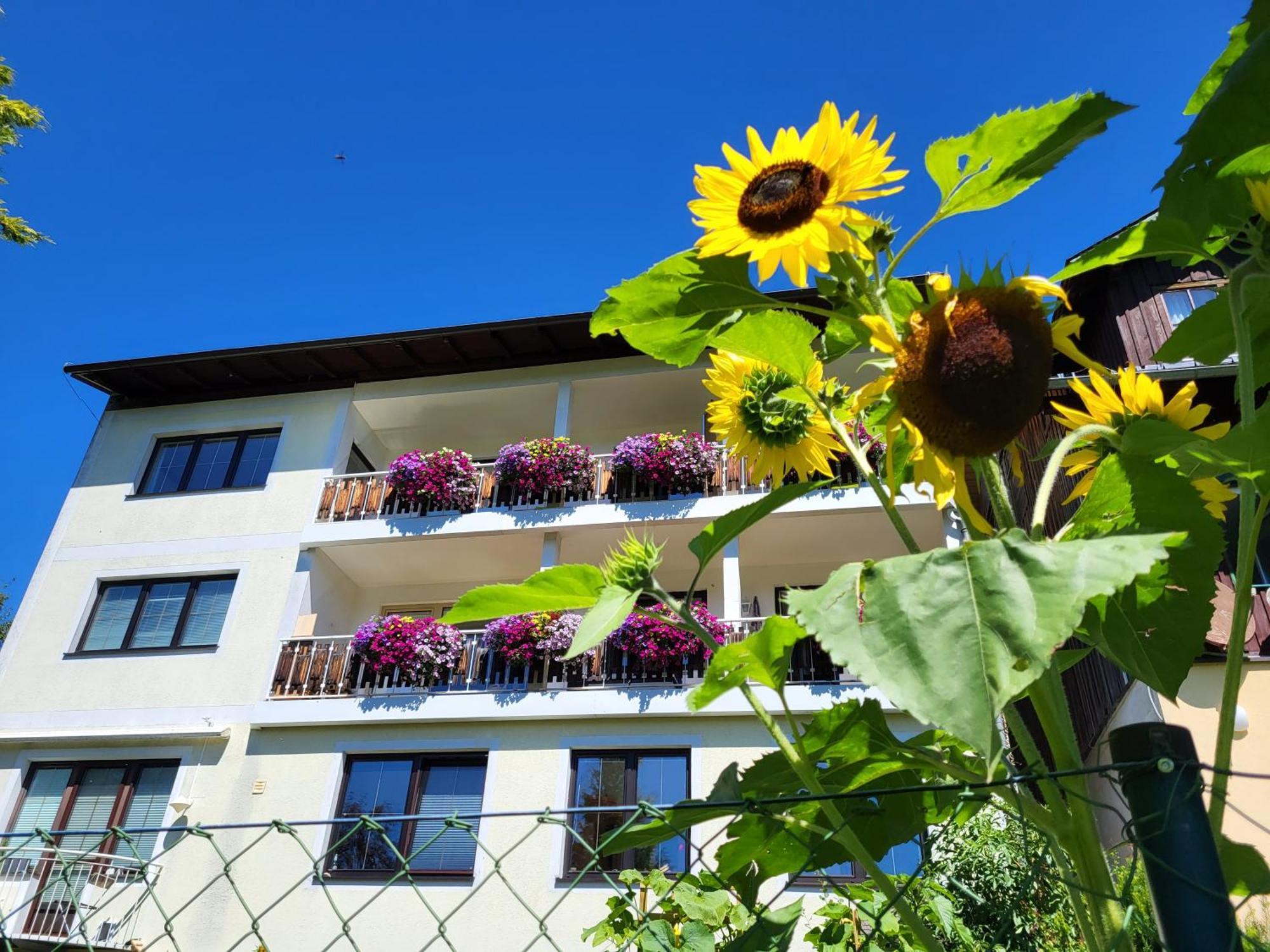 Gaestehaus Herma Ramsau am Dachstein Exterior foto