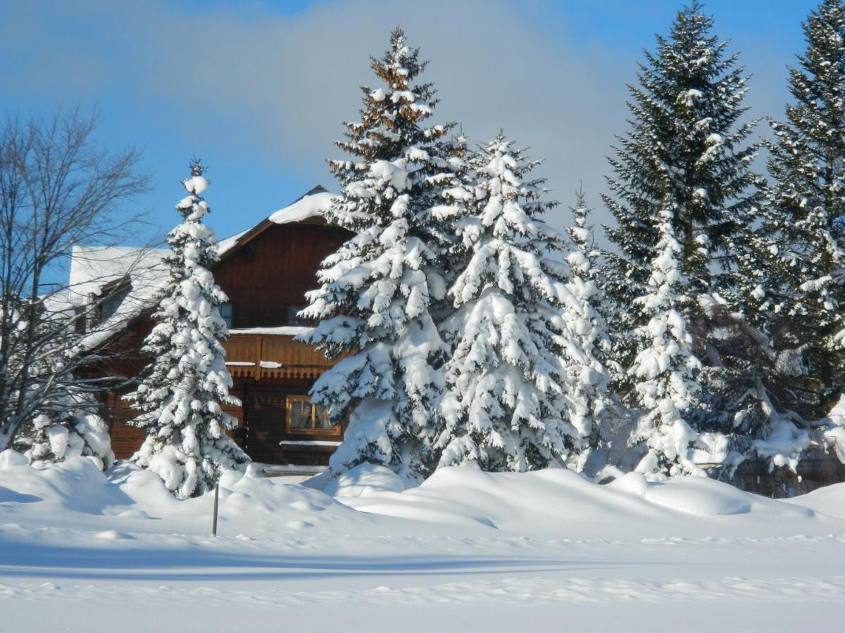 Gaestehaus Herma Ramsau am Dachstein Exterior foto